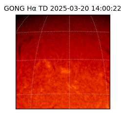 gong - 2025-03-20T14:00:22