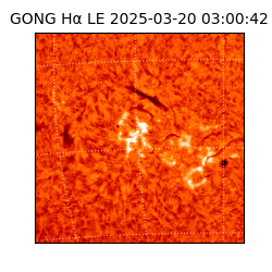 gong - 2025-03-20T03:00:42