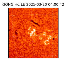 gong - 2025-03-20T04:00:42