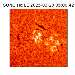 gong - 2025-03-20T05:00:42