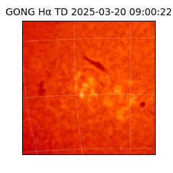 gong - 2025-03-20T09:00:22