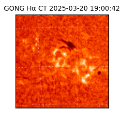 gong - 2025-03-20T19:00:42