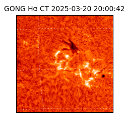 gong - 2025-03-20T20:00:42