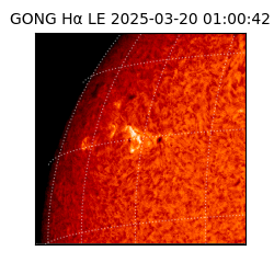 gong - 2025-03-20T01:00:42