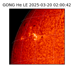 gong - 2025-03-20T02:00:42