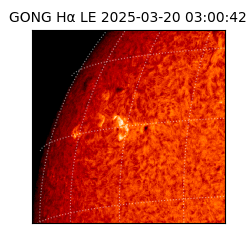 gong - 2025-03-20T03:00:42