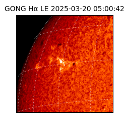 gong - 2025-03-20T05:00:42