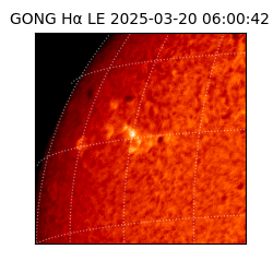 gong - 2025-03-20T06:00:42