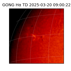 gong - 2025-03-20T09:00:22
