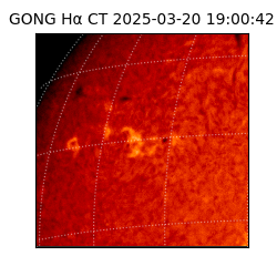 gong - 2025-03-20T19:00:42