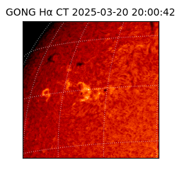 gong - 2025-03-20T20:00:42