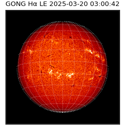 gong - 2025-03-20T03:00:42