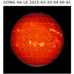 gong - 2025-03-20T04:00:42