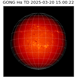 gong - 2025-03-20T15:00:22