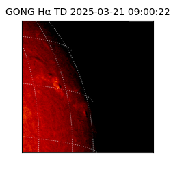 gong - 2025-03-21T09:00:22
