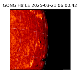 gong - 2025-03-21T06:00:42