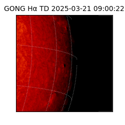 gong - 2025-03-21T09:00:22