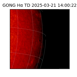 gong - 2025-03-21T14:00:22