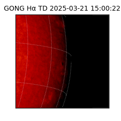 gong - 2025-03-21T15:00:22