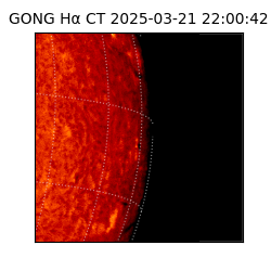 gong - 2025-03-21T22:00:42