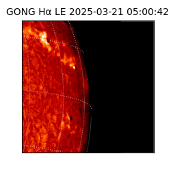 gong - 2025-03-21T05:00:42