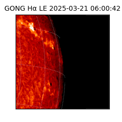 gong - 2025-03-21T06:00:42