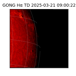 gong - 2025-03-21T09:00:22