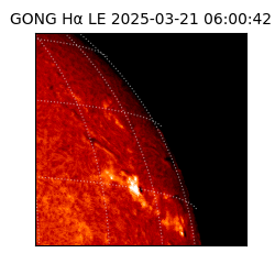 gong - 2025-03-21T06:00:42