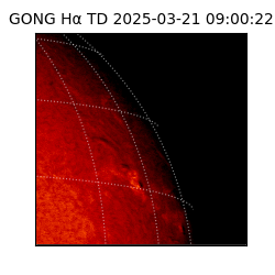 gong - 2025-03-21T09:00:22