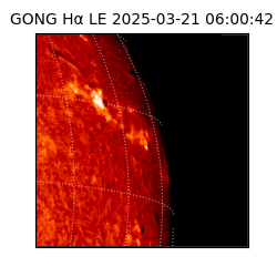 gong - 2025-03-21T06:00:42