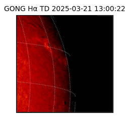 gong - 2025-03-21T13:00:22