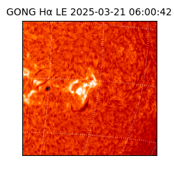 gong - 2025-03-21T06:00:42