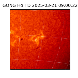 gong - 2025-03-21T09:00:22