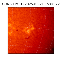 gong - 2025-03-21T15:00:22