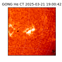 gong - 2025-03-21T19:00:42