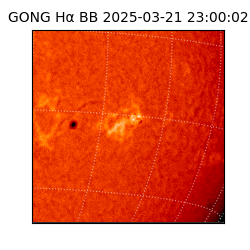 gong - 2025-03-21T23:00:02