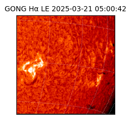 gong - 2025-03-21T05:00:42