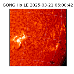 gong - 2025-03-21T06:00:42