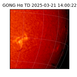 gong - 2025-03-21T14:00:22