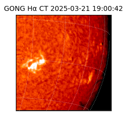 gong - 2025-03-21T19:00:42