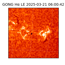 gong - 2025-03-21T06:00:42