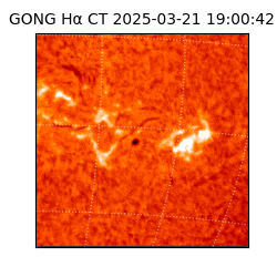 gong - 2025-03-21T19:00:42
