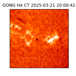 gong - 2025-03-21T20:00:42