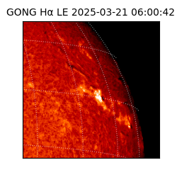 gong - 2025-03-21T06:00:42