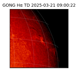 gong - 2025-03-21T09:00:22