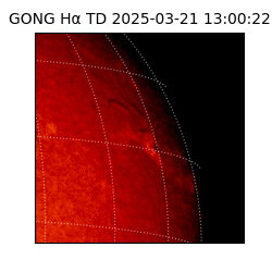 gong - 2025-03-21T13:00:22