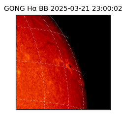 gong - 2025-03-21T23:00:02