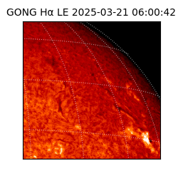 gong - 2025-03-21T06:00:42