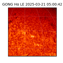gong - 2025-03-21T05:00:42