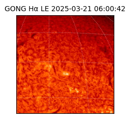 gong - 2025-03-21T06:00:42